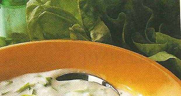 Polévka s hlávkovým salátem
