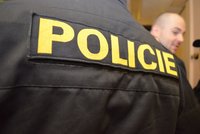 Příbramští policisté dopadli pachatele vloupání do obchodu