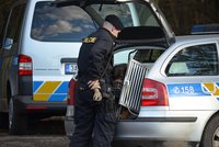 Řidič ujel v Audi policistům, vůz vypátral vrtulník, po řidiči se pátrá