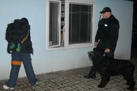 Pachatele vloupání zadržel služební pes mosteckých strážníků