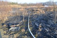 Pražské hasiče zaměstnal rozsáhlý požár travnatého porostu
