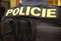 Policisté z kladenské OHS zadrželi pachatele krádeže okapů