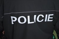 Policisté z OO PČR Příbram dopadli dvojici zlodějů