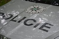 Reakce plzeňské policie k článku médií o cyklo-vyjížďce na Šumavě