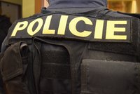 Lupič přepadl prodavačku v půjčovně nářadí, zadržel prodavač z vedlejší prodejny