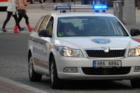 VIDEO: Brněnští strážníci odchytávali poraněnou a zmatenou srnku