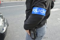 Kriminalisté v rámci pátrací akce na Benešovsku opět zatýkali