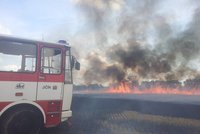 Hasiče na Jičínsku zaměstnal rozsáhlý požár pole s obilím