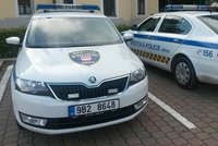 V Brně měl někdo vyhodit z okna kočku, postarali se o ní strážníci