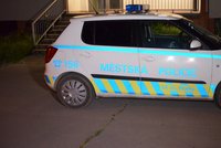 Opilec za volantem kličkoval po Praze 10, vůz zastavili strážníci