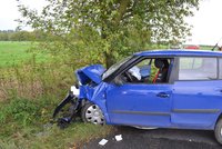 Auto u Hostivic narazilo do stromu, na výpomoc vyjeli hasiči z Prahy