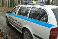 Ostravští strážníci zadrželi při činu pachatele vloupání do vozidla