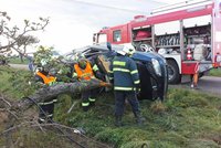 Automobil narazil bokem do stromu, zraněnou osobu museli vyprostit hasiči