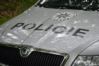 Cizinec chtěl nejprve skočit ze střechy hotelu, při převozu na záchytku napadl policisty