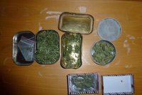 U mladé posádky Octavie nalezli zlínští celníci 21 gramů marihuany