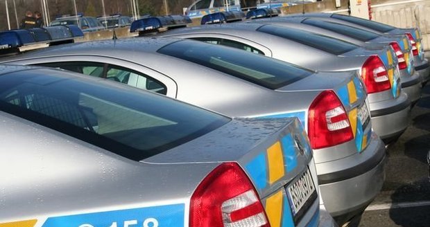 Policisté na Berounsku vyšetřují případ nálezů těl psů bez hlav