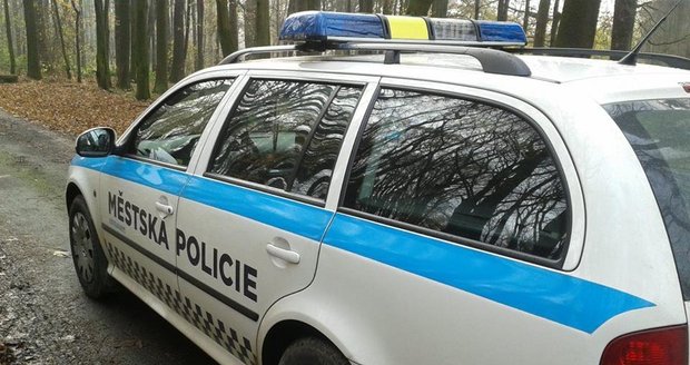 Ostravští strážníci měřící rychlost zadrželi pachatele vloupání do vozidla
