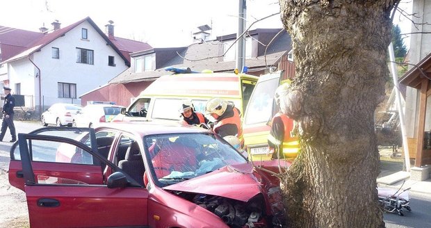 Řidič po nárazu do stromu na Jablonecku zemřel