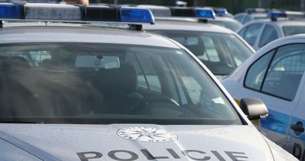Na zloděje aut byl vydán Evropský zatýkací rozkaz, zadrželi ho policisté na Plzeňsku
