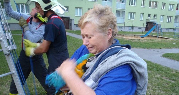 Ostravští hasiči zachraňovali papouška