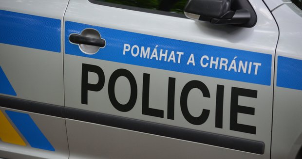 Karvinští a Orlovští policisté dopadli zloděje přímo při činu