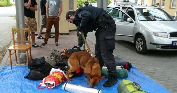 Celníkům na Zlínsku pomáhal na hranicích také služební pes