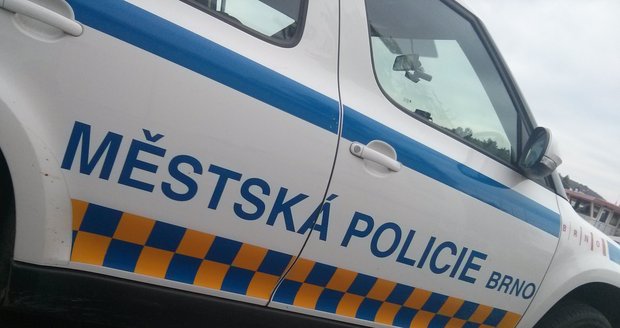 Muže podezřelé z vloupání dopadli brněnští strážníci díky udanému popisu