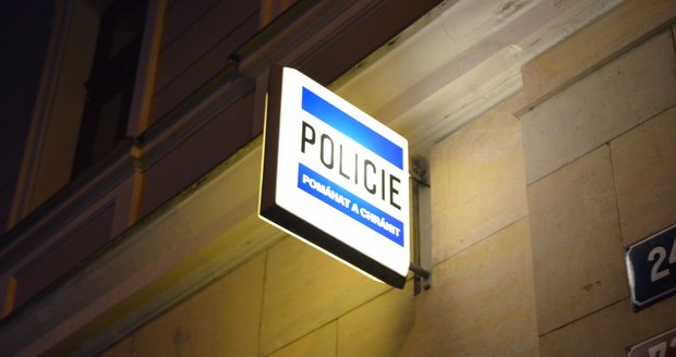 Plzeňští policisté dopadli sprejerku, která poškodila dveře domu