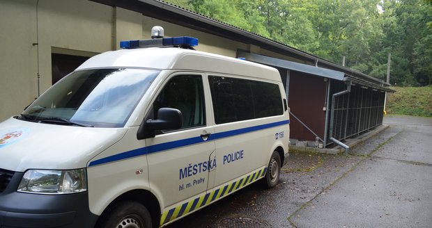 Na návštěvě u Útvaru psovodů Městské policie Praha
