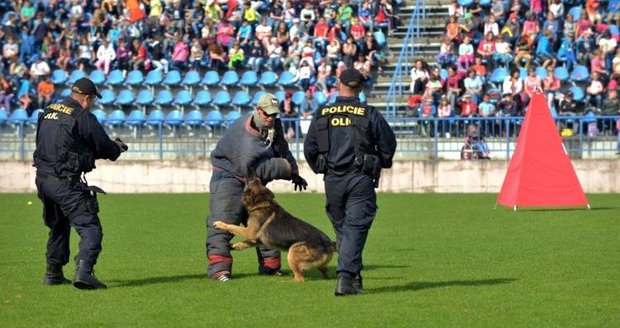 Nejen policisté předvedli dětem výcvik svých čtyřnohých pomocníků