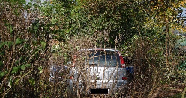 Opel vyjel ze silnice, projel pletivem, živým plotem a pokračoval po zahradě rodinného domu