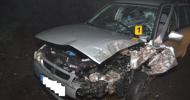 Opilý řidič na Mělnicku narazil s osobním vozem do stromu