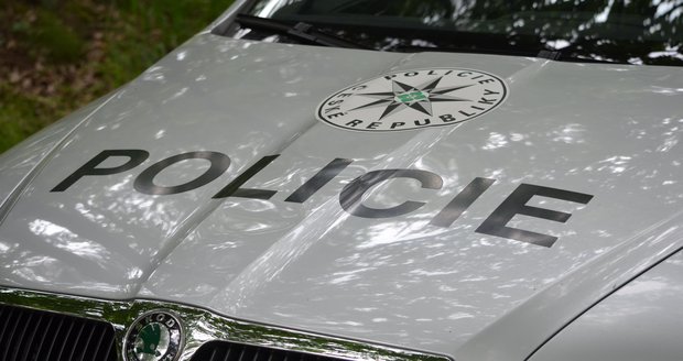 Plzeňští policisté dopadli krátce po činu pachatele vloupání