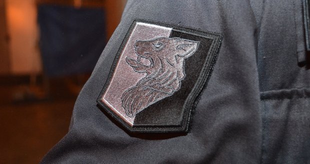 Další vydařená akce středočeské cizinecké policie