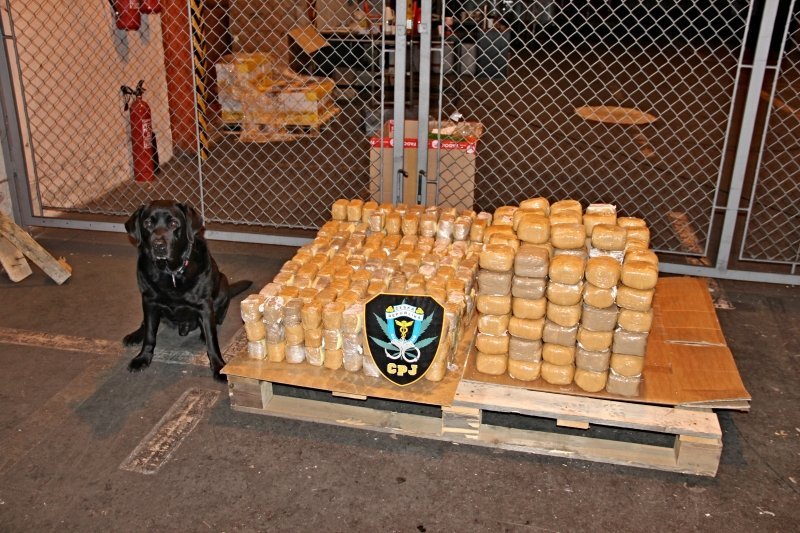 VIDEO: Celníci zajistili zásilku 182 kilogramů heroinu