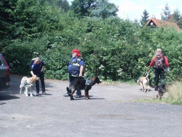 Policisté na Děčínsku pátrali po pohřešované ženě