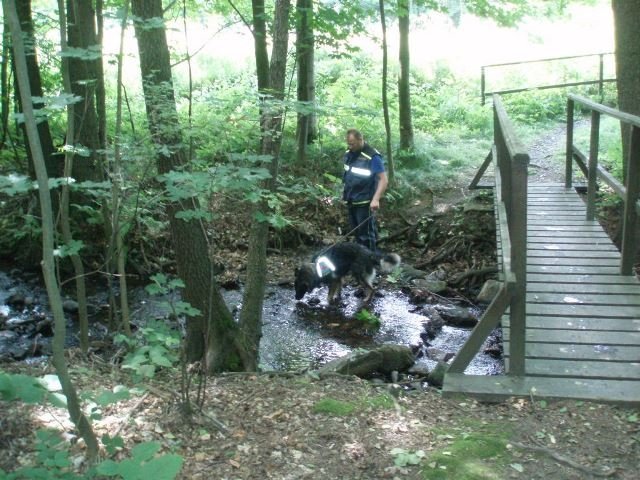 Policisté na Děčínsku pátrali po pohřešované ženě