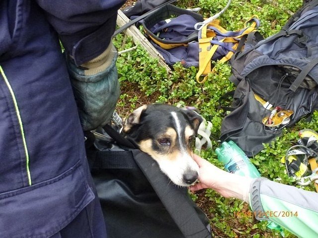 Šumperští hasiči zachránili psa, který spadl do skalní rozsedliny