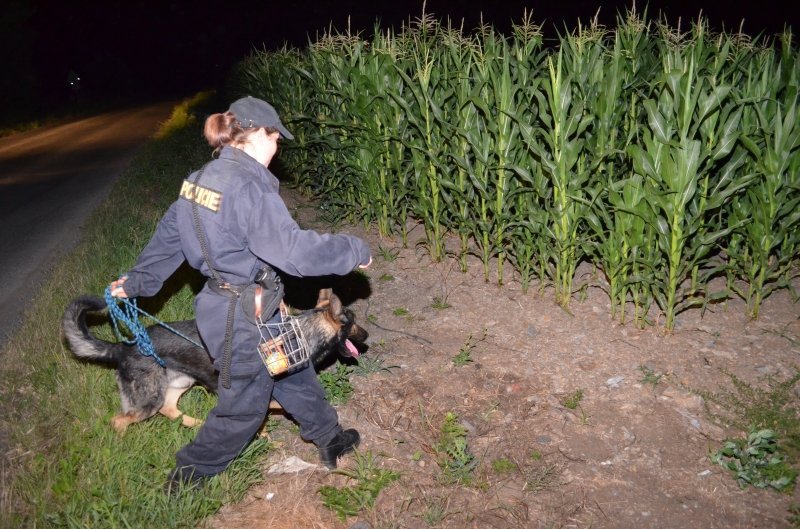 Ujíždějící řidič skončil s autem na střeše, poté se dal na útěk