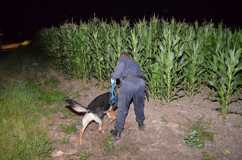 Ujíždějící řidič skončil s autem na střeše, poté se dal na útěk