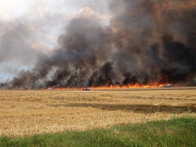 Hasiči bojovali na Mladoboleslavsku s rozsáhlým požárem pole
