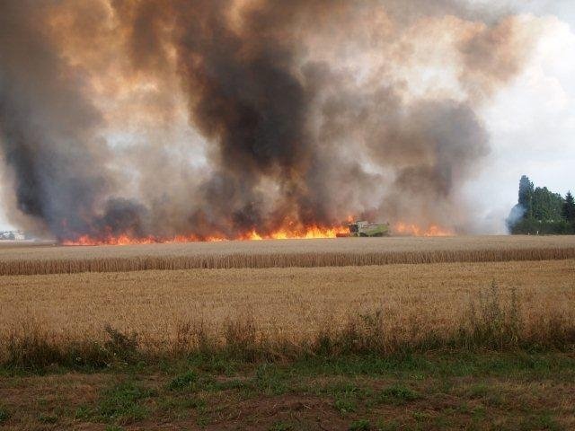Hasiči bojovali na Mladoboleslavsku s rozsáhlým požárem pole