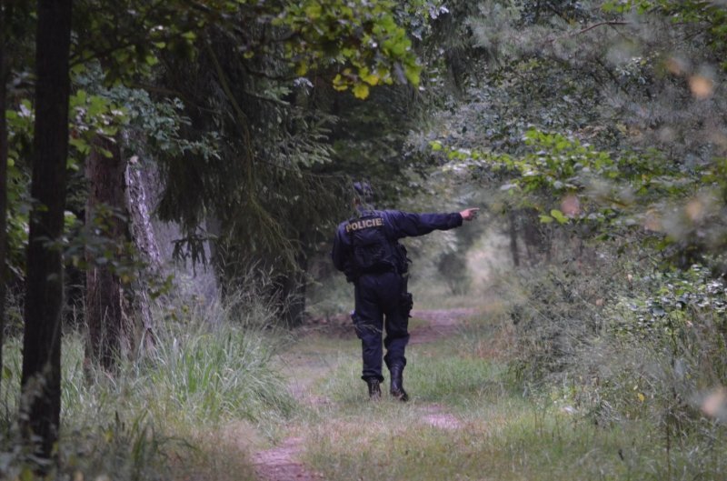 Policisté pátrali v Klánovickém lese po nebezpečném muži