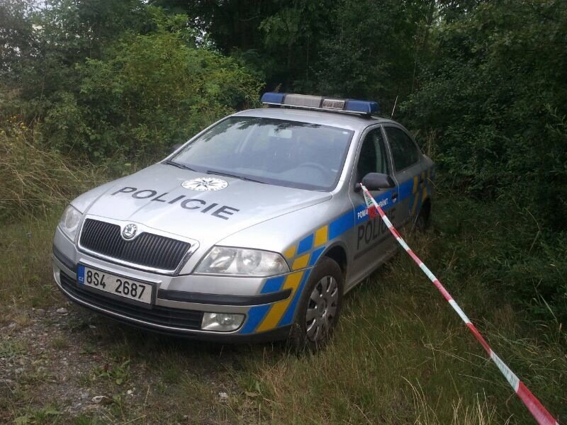 Muž, který ujížděl policistům z Německa, je pěkné kvítko