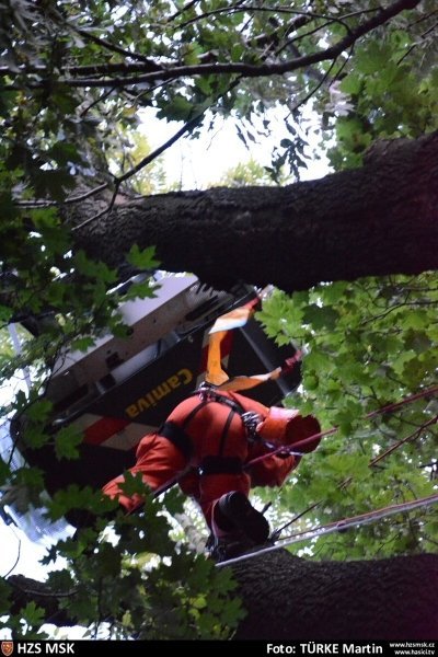 VIDEO: Hasiči v Opavě zachraňovali zraněného muže ze stromu