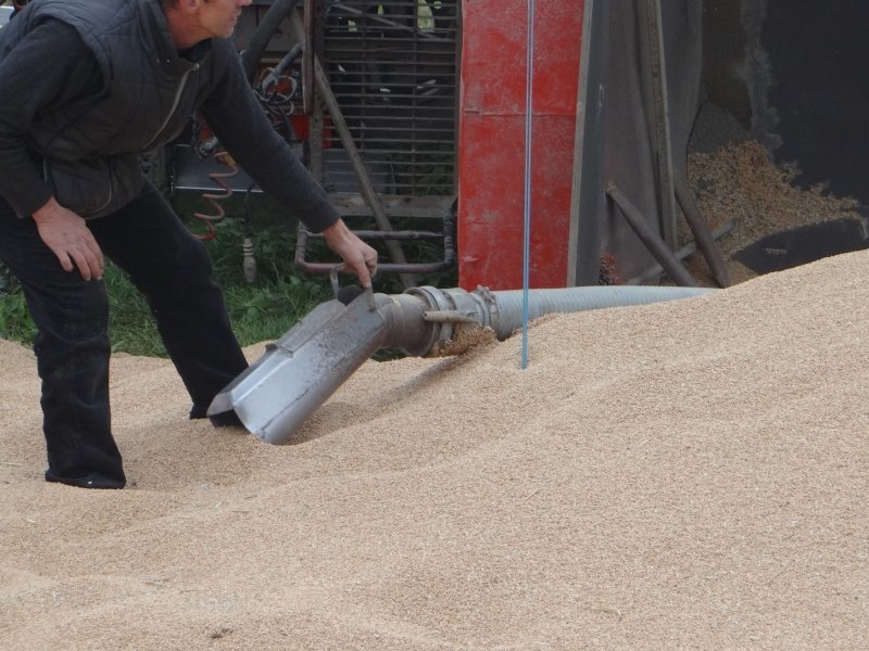 Hasiči vyprošťovali na Novojičínsku nákladní vůz vezoucí pšenici