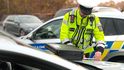 Policejní kontrola Policejní kontrola