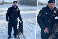 Dva velké úspěchy policejního psa Exela: Zachránil život pohřešované a vypátral zloděje