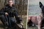 Policejní psi Cheréz a Mack dosáhli ve stejný den velkých úspěchů.