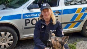 Policejní pes vypátral zloděje, který kradl v prodejně obchodního domu a ohrožoval ostrahu nožem